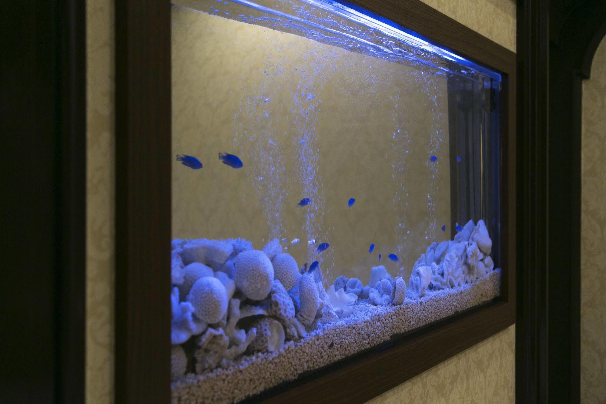 โรงแรมแอตแลนติส โทโยนากะ  ภายนอก รูปภาพ